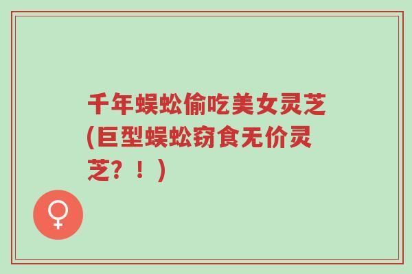 千年蜈蚣偷吃美女灵芝(巨型蜈蚣窃食无价灵芝?!)-第1张图片-超越 千年蜈蚣偷吃美女灵芝(巨型蜈蚣窃食无价灵芝?!)-第1张图片-超越