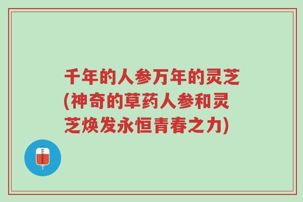 千年的人参万年的灵芝(神奇的草药人参和灵芝焕发永恒青春之力)-第1张图片-超越