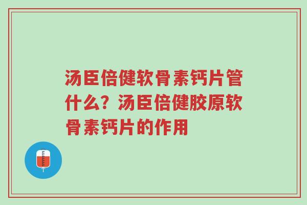 汤臣倍健软骨素钙片管什么?汤臣倍健胶原软骨素钙片的作用-第1张图片-超越 汤臣倍健软骨素钙片管什么?汤臣倍健胶原软骨素钙片的作用-第1张图片-超越