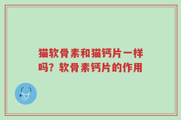 猫软骨素和猫钙片一样吗?软骨素钙片的作用-第1张图片-超越 猫软骨素和猫钙片一样吗?软骨素钙片的作用-第1张图片-超越