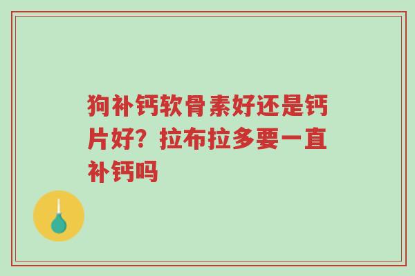 狗补钙软骨素好还是钙片好?拉布拉多要一直补钙吗-第1张图片-超越 狗补钙软骨素好还是钙片好?拉布拉多要一直补钙吗-第1张图片-超越