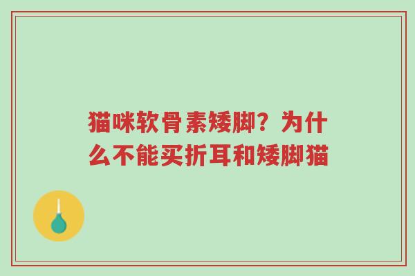 猫咪软骨素矮脚?为什么不能买折耳和矮脚猫-第1张图片-超越 猫咪软骨素矮脚?为什么不能买折耳和矮脚猫-第1张图片-超越