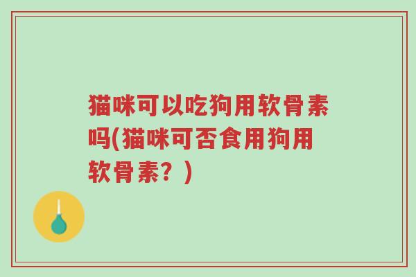 猫咪可以吃狗用软骨素吗(猫咪可否食用狗用软骨素?)-第1张图片-超越 猫咪可以吃狗用软骨素吗(猫咪可否食用狗用软骨素?)-第1张图片-超越