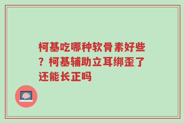 柯基吃哪种软骨素好些?柯基辅助立耳绑歪了还能长正吗-第1张图片-超越 柯基吃哪种软骨素好些?柯基辅助立耳绑歪了还能长正吗-第1张图片-超越