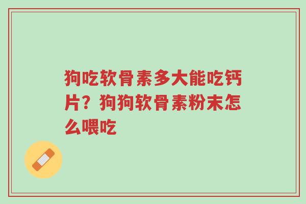 狗吃软骨素多大能吃钙片?狗狗软骨素粉末怎么喂吃-第1张图片-超越 狗吃软骨素多大能吃钙片?狗狗软骨素粉末怎么喂吃-第1张图片-超越