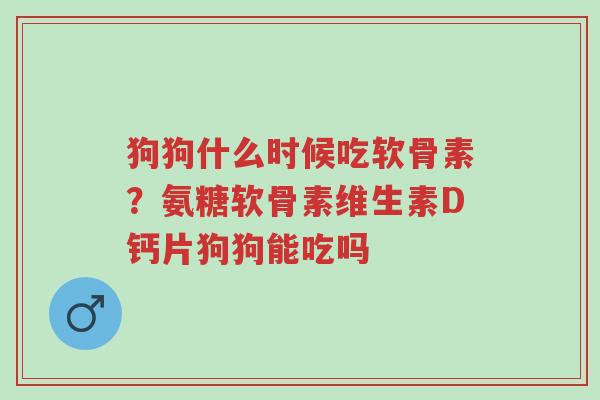 狗狗什么时候吃软骨素?氨糖软骨素维生素D钙片狗狗能吃吗-第1张图片-超越 狗狗什么时候吃软骨素?氨糖软骨素维生素D钙片狗狗能吃吗-第1张图片-超越