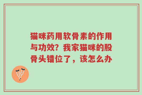 猫咪药用软骨素的作用与功效?我家猫咪的股骨头错位了,该怎么办-第1张图片-超越 猫咪药用软骨素的作用与功效?我家猫咪的股骨头错位了,该怎么办-第1张图片-超越