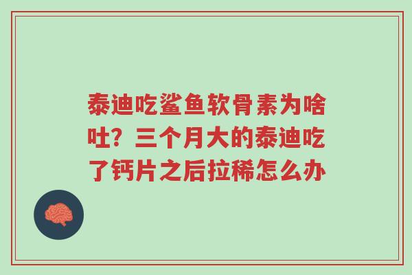 泰迪吃鲨鱼软骨素为啥吐？三个月大的泰迪吃了钙片之后拉稀怎么办-第1张图片-超越