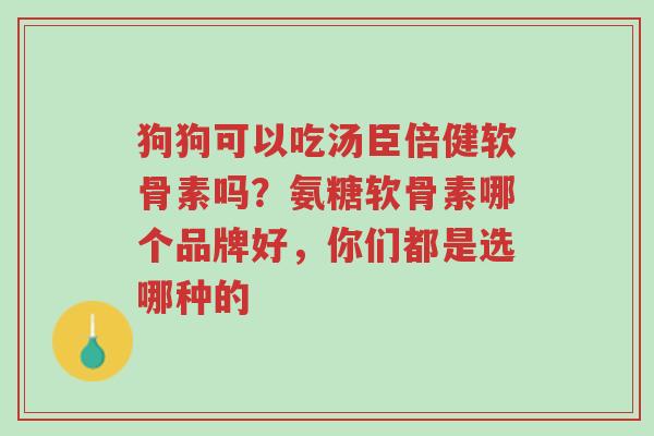 狗狗可以吃汤臣倍健软骨素吗?氨糖软骨素哪个品牌好,你们都是选哪种的-第1张图片-超越 狗狗可以吃汤臣倍健软骨素吗?氨糖软骨素哪个品牌好,你们都是选哪种的-第1张图片-超越