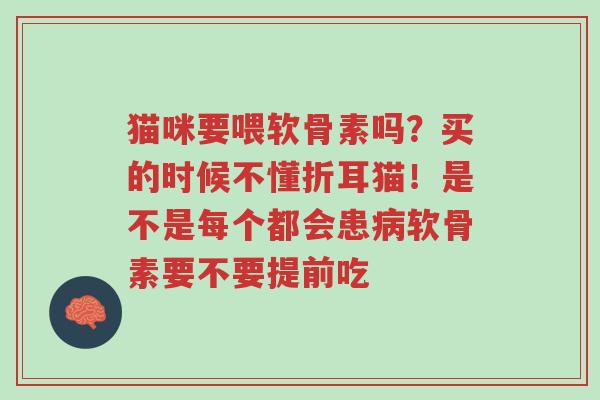 猫咪要喂软骨素吗?买的时候不懂折耳猫!是不是每个都会患病软骨素要不要提前吃-第1张图片-超越 猫咪要喂软骨素吗?买的时候不懂折耳猫!是不是每个都会患病软骨素要不要提前吃-第1张图片-超越