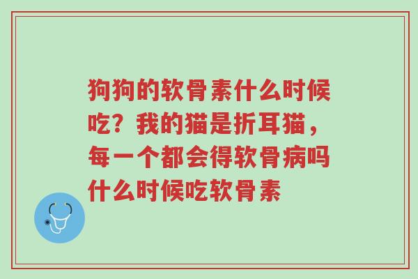狗狗的软骨素什么时候吃?我的猫是折耳猫,每一个都会得软骨病吗什么时候吃软骨素-第1张图片-超越 狗狗的软骨素什么时候吃?我的猫是折耳猫,每一个都会得软骨病吗什么时候吃软骨素-第1张图片-超越
