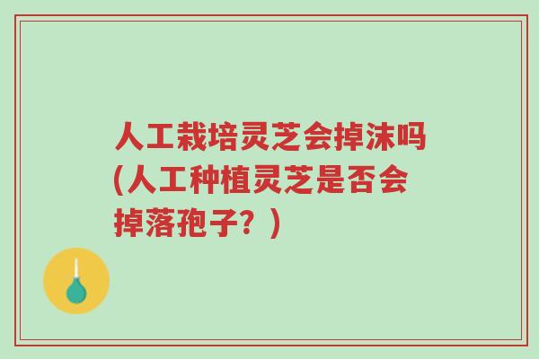 人工栽培灵芝会掉沫吗(人工种植灵芝是否会掉落孢子?)-第1张图片-超越 人工栽培灵芝会掉沫吗(人工种植灵芝是否会掉落孢子?)-第1张图片-超越