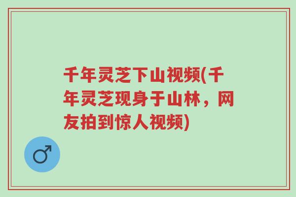 千年灵芝下山视频(千年灵芝现身于山林,网友拍到惊人视频)-第1张图片-超越 千年灵芝下山视频(千年灵芝现身于山林,网友拍到惊人视频)-第1张图片-超越