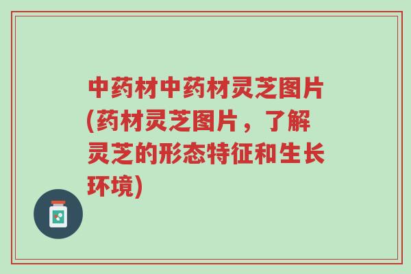 中药材中药材灵芝图片(药材灵芝图片，了解灵芝的形态特征和生长环境)-第1张图片-超越