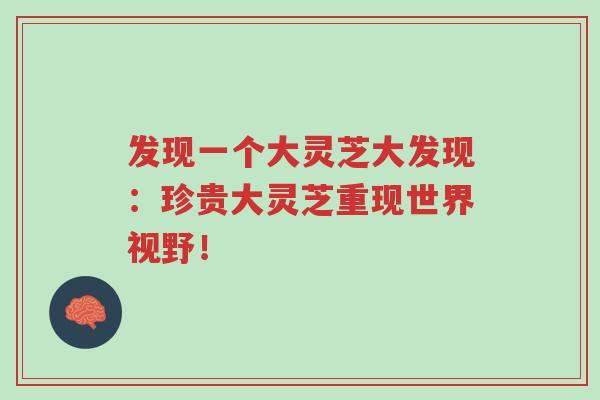 发现一个大灵芝大发现：珍贵大灵芝重现世界视野！-第1张图片-超越