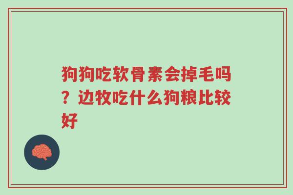 狗狗吃软骨素会掉毛吗?边牧吃什么狗粮比较好-第1张图片-超越 狗狗吃软骨素会掉毛吗?边牧吃什么狗粮比较好-第1张图片-超越