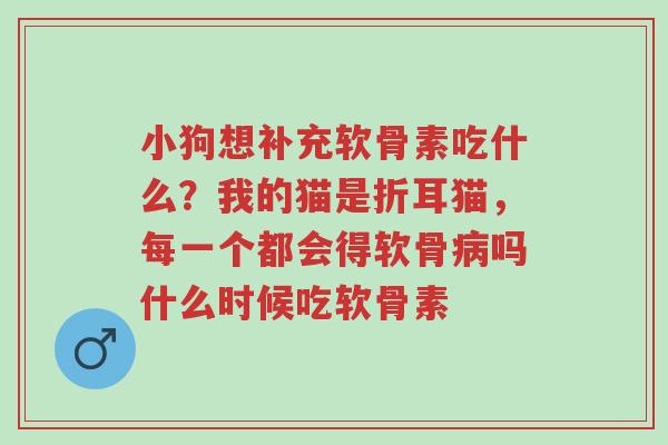 小狗想补充软骨素吃什么？我的猫是折耳猫，每一个都会得软骨病吗什么时候吃软骨素-第1张图片-超越