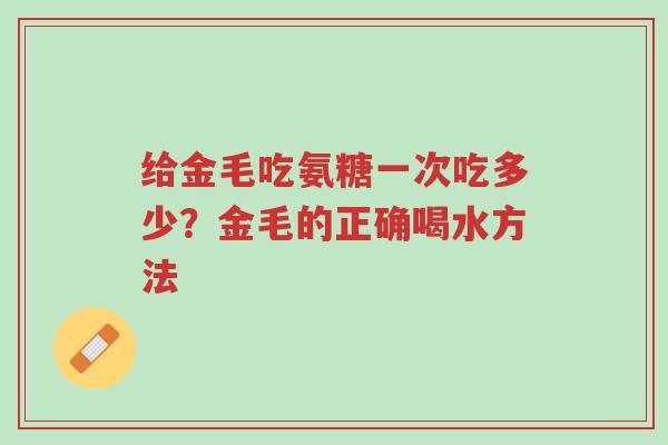 给金毛吃氨糖一次吃多少?金毛的正确喝水方法-第1张图片-超越 给金毛吃氨糖一次吃多少?金毛的正确喝水方法-第1张图片-超越