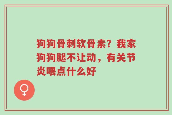 狗狗骨刺软骨素?我家狗狗腿不让动,有关节炎喂点什么好-第1张图片-超越 狗狗骨刺软骨素?我家狗狗腿不让动,有关节炎喂点什么好-第1张图片-超越