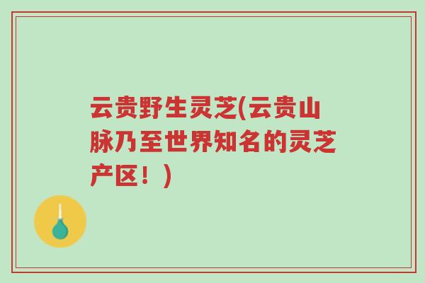 云贵野生灵芝(云贵山脉乃至世界知名的灵芝产区!)-第1张图片-超越 云贵野生灵芝(云贵山脉乃至世界知名的灵芝产区!)-第1张图片-超越