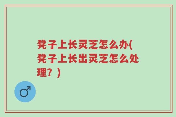 凳子上长灵芝怎么办(凳子上长出灵芝怎么处理?)-第1张图片-超越 凳子上长灵芝怎么办(凳子上长出灵芝怎么处理?)-第1张图片-超越