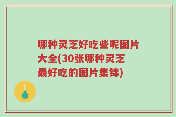 哪种灵芝好吃些呢图片大全(30张哪种灵芝最好吃的图片集锦)-第1张图片-超越 哪种灵芝好吃些呢图片大全(30张哪种灵芝最好吃的图片集锦)-第1张图片-超越