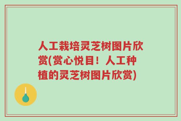 人工栽培灵芝树图片欣赏(赏心悦目!人工种植的灵芝树图片欣赏)-第1张图片-超越 人工栽培灵芝树图片欣赏(赏心悦目!人工种植的灵芝树图片欣赏)-第1张图片-超越
