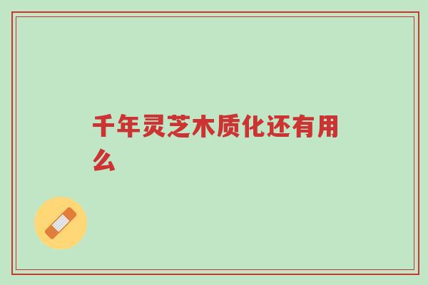 千年灵芝木质化还有用么-第1张图片-超越 千年灵芝木质化还有用么-第1张图片-超越