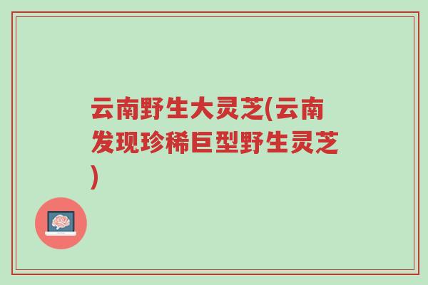 云南野生大灵芝(云南发现珍稀巨型野生灵芝)-第1张图片-超越 云南野生大灵芝(云南发现珍稀巨型野生灵芝)-第1张图片-超越