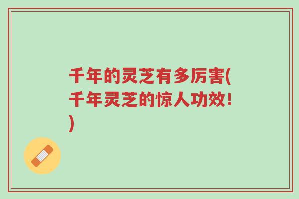 千年的灵芝有多厉害(千年灵芝的惊人功效!)-第1张图片-超越 千年的灵芝有多厉害(千年灵芝的惊人功效!)-第1张图片-超越