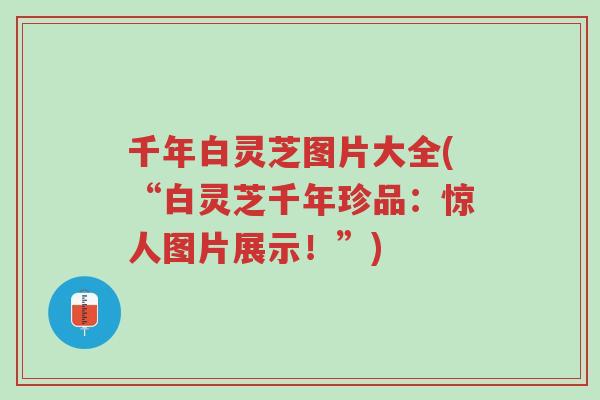 千年白灵芝图片大全(“白灵芝千年珍品:惊人图片展示!”)-第1张图片-超越 千年白灵芝图片大全(“白灵芝千年珍品:惊人图片展示!”)-第1张图片-超越