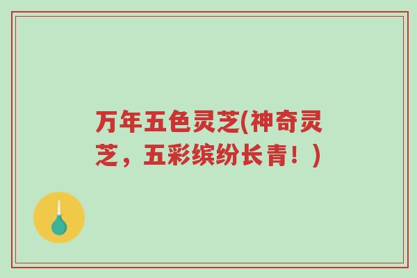 万年五色灵芝(神奇灵芝，五彩缤纷长青！)-第1张图片-超越