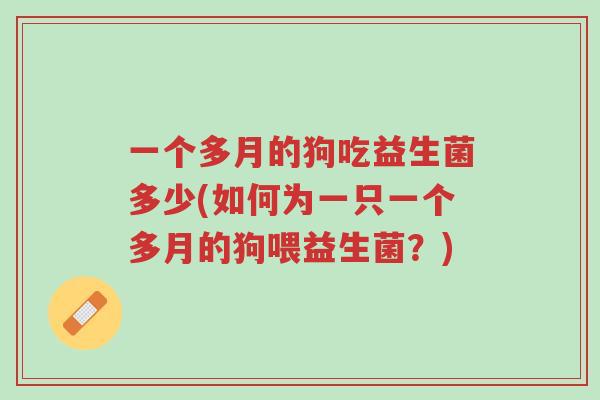 一个多月的狗吃益生菌多少(如何为一只一个多月的狗喂益生菌?)-第1张图片-超越 一个多月的狗吃益生菌多少(如何为一只一个多月的狗喂益生菌?)-第1张图片-超越
