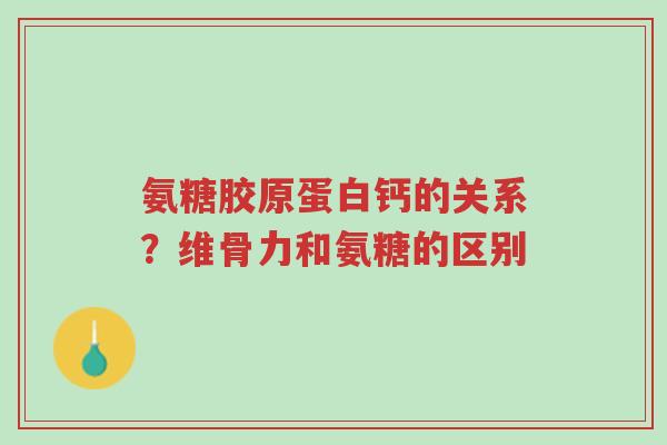 氨糖胶原蛋白钙的关系?维骨力和氨糖的区别-第1张图片-超越 氨糖胶原蛋白钙的关系?维骨力和氨糖的区别-第1张图片-超越