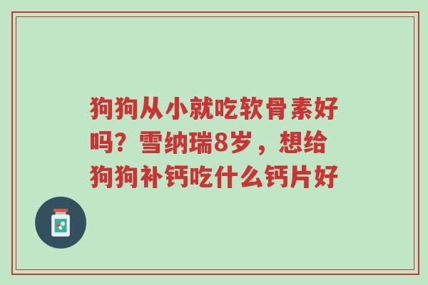 狗狗从小就吃软骨素好吗?雪纳瑞8岁,想给狗狗补钙吃什么钙片好-第1张图片-超越 狗狗从小就吃软骨素好吗?雪纳瑞8岁,想给狗狗补钙吃什么钙片好-第1张图片-超越