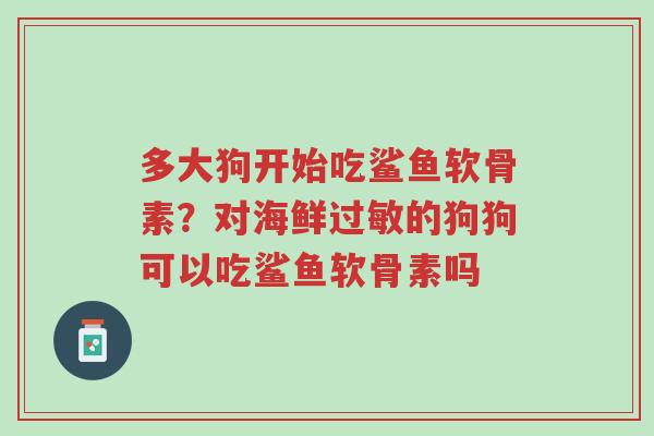 多大狗开始吃鲨鱼软骨素?对海鲜过敏的狗狗可以吃鲨鱼软骨素吗-第1张图片-超越 多大狗开始吃鲨鱼软骨素?对海鲜过敏的狗狗可以吃鲨鱼软骨素吗-第1张图片-超越
