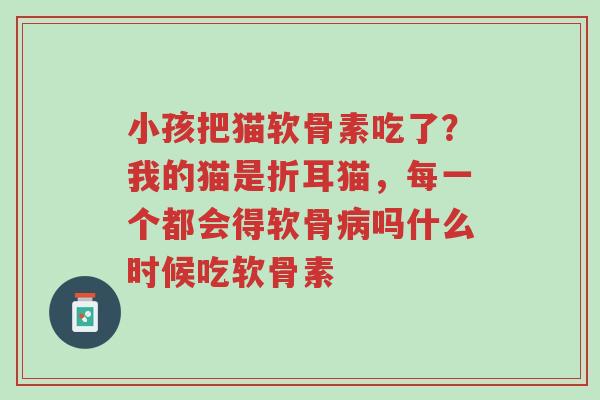 小孩把猫软骨素吃了？我的猫是折耳猫，每一个都会得软骨病吗什么时候吃软骨素-第1张图片-超越