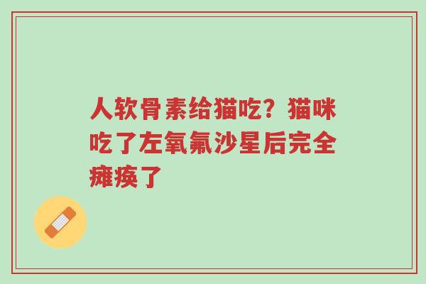 人软骨素给猫吃？猫咪吃了左氧氟沙星后完全瘫痪了-第1张图片-超越