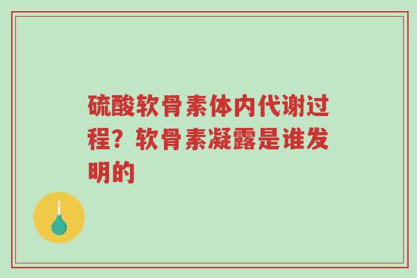 硫酸软骨素体内代谢过程?软骨素凝露是谁发明的-第1张图片-超越 硫酸软骨素体内代谢过程?软骨素凝露是谁发明的-第1张图片-超越