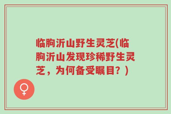 临朐沂山野生灵芝(临朐沂山发现珍稀野生灵芝，为何备受瞩目？)-第1张图片-超越