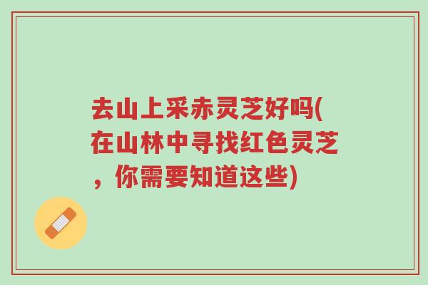 去山上采赤灵芝好吗(在山林中寻找红色灵芝，你需要知道这些)-第1张图片-超越