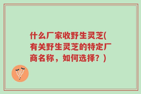 什么厂家收野生灵芝(有关野生灵芝的特定厂商名称,如何选择?)-第1张图片-超越 什么厂家收野生灵芝(有关野生灵芝的特定厂商名称,如何选择?)-第1张图片-超越