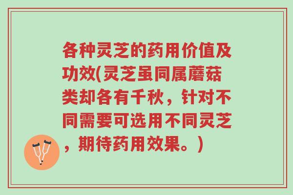 各种灵芝的药用价值及功效(灵芝虽同属蘑菇类却各有千秋,针对不同需要可选用不同灵芝,期待药用效果。)-第1张图片-超越 各种灵芝的药用价值及功效(灵芝虽同属蘑菇类却各有千秋,针对不同需要可选用不同灵芝,期待药用效果。)-第1张图片-超越