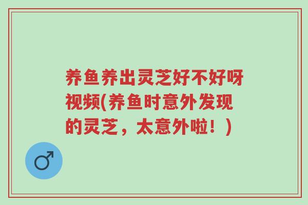 养鱼养出灵芝好不好呀视频(养鱼时意外发现的灵芝，太意外啦！)-第1张图片-超越