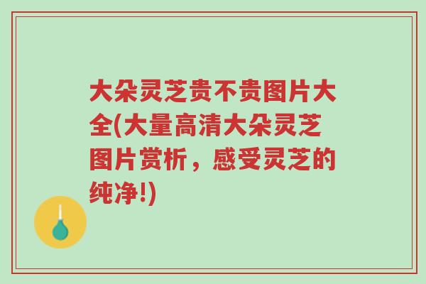 大朵灵芝贵不贵图片大全(大量高清大朵灵芝图片赏析,感受灵芝的纯净!)-第1张图片-超越 大朵灵芝贵不贵图片大全(大量高清大朵灵芝图片赏析,感受灵芝的纯净!)-第1张图片-超越