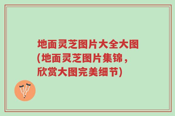地面灵芝图片大全大图(地面灵芝图片集锦,欣赏大图完美细节)-第1张图片-超越 地面灵芝图片大全大图(地面灵芝图片集锦,欣赏大图完美细节)-第1张图片-超越