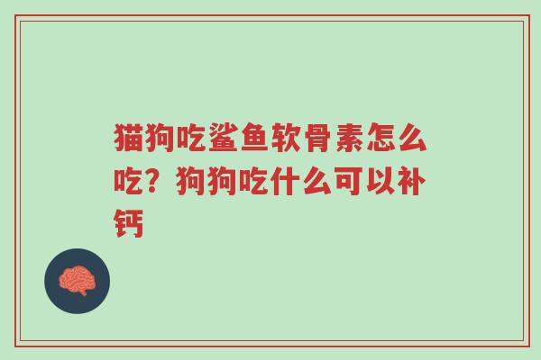 猫狗吃鲨鱼软骨素怎么吃?狗狗吃什么可以补钙-第1张图片-超越 猫狗吃鲨鱼软骨素怎么吃?狗狗吃什么可以补钙-第1张图片-超越