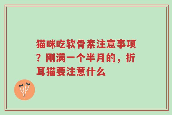 猫咪吃软骨素注意事项?刚满一个半月的,折耳猫要注意什么-第1张图片-超越 猫咪吃软骨素注意事项?刚满一个半月的,折耳猫要注意什么-第1张图片-超越