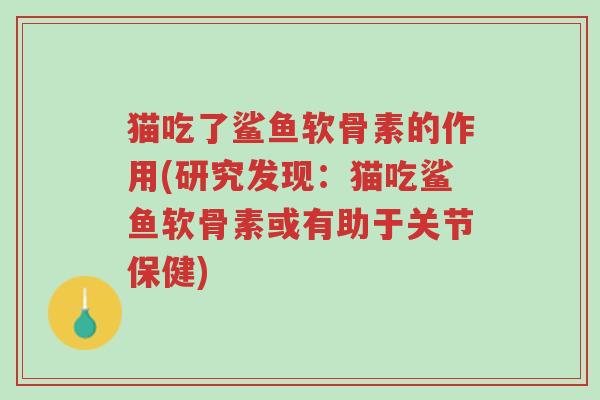 猫吃了鲨鱼软骨素的作用(研究发现:猫吃鲨鱼软骨素或有助于关节保健)-第1张图片-超越 猫吃了鲨鱼软骨素的作用(研究发现:猫吃鲨鱼软骨素或有助于关节保健)-第1张图片-超越