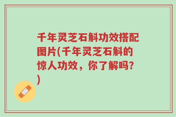 千年灵芝石斛功效搭配图片(千年灵芝石斛的惊人功效,你了解吗?)-第1张图片-超越 千年灵芝石斛功效搭配图片(千年灵芝石斛的惊人功效,你了解吗?)-第1张图片-超越